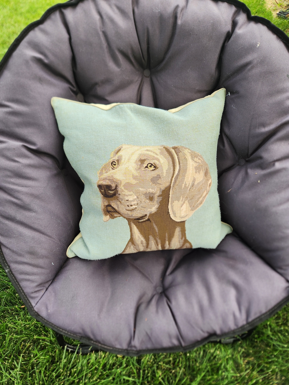 Tapestry Portrait Of Weimaraner Dog Pillow - Picture 2 of 10